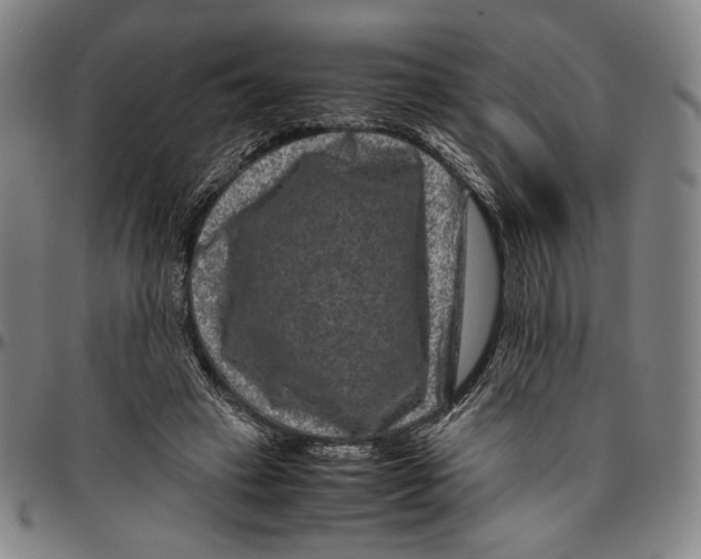 X0000096480449200802211218