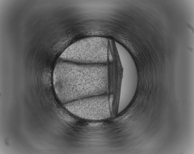 X0000096480450200802211218