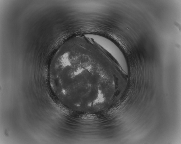 X0000096480451200802211218