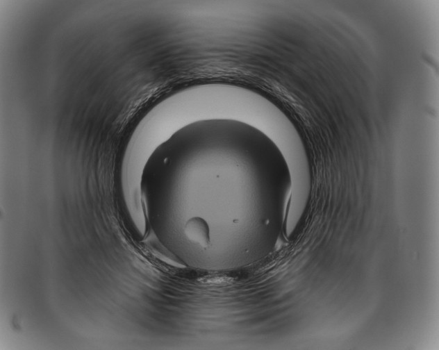 X0000096480452200802211218