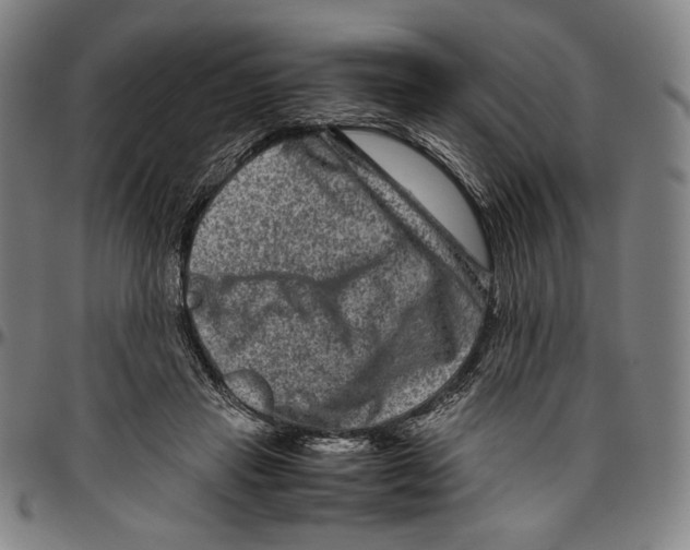 X0000096480453200802211218