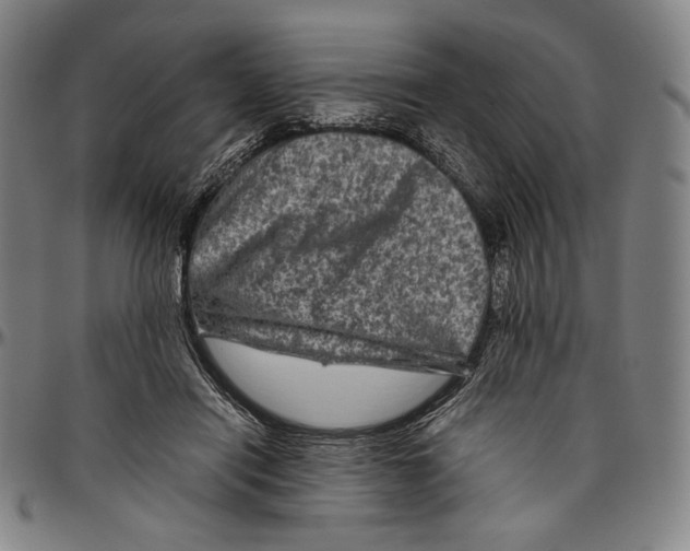 X0000096480454200802211218