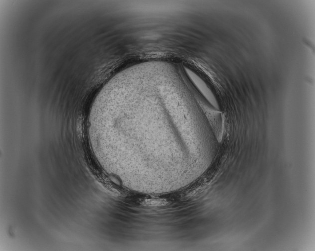 X0000096480455200802211218