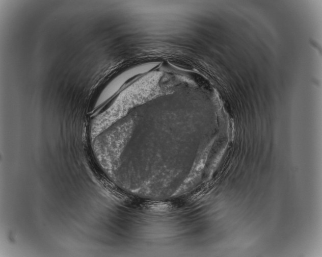 X0000096480456200802211218