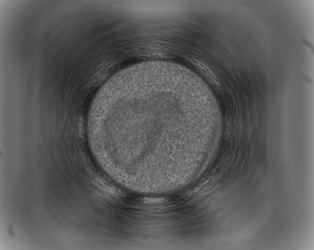 X0000096480457200802211218