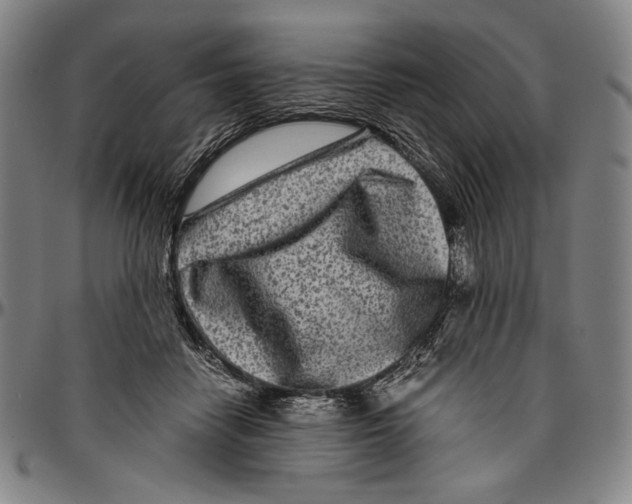 X0000096480458200802211218