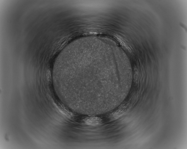 X0000096480459200802211218