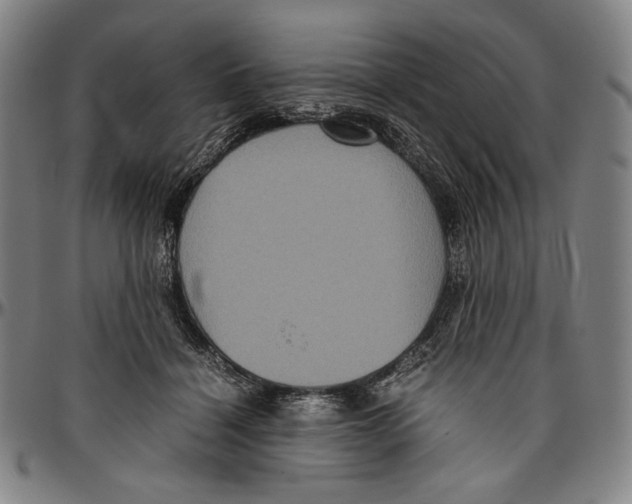 X0000096480460200802211218