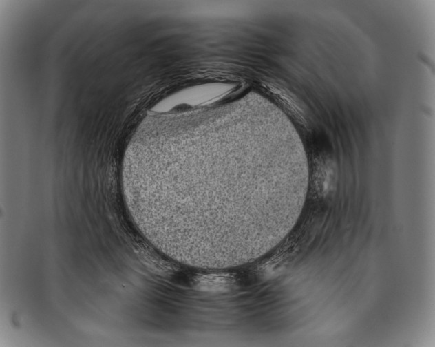X0000096480461200802211218