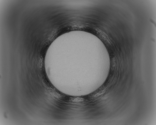 X0000096480463200802211218
