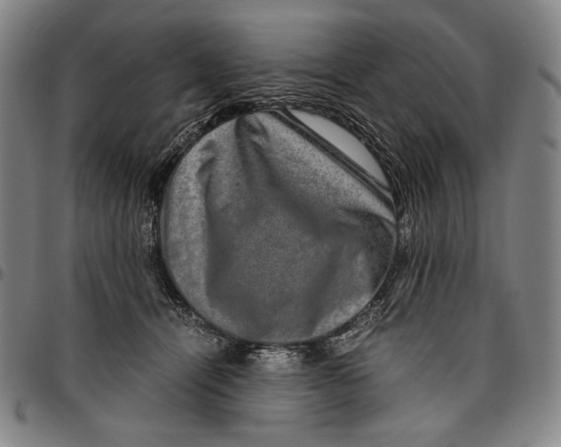 X0000096480464200802211218