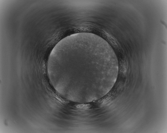 X0000096480465200802211218