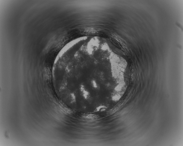 X0000096480467200802211218