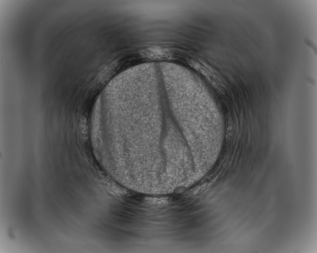 X0000096480469200802211218