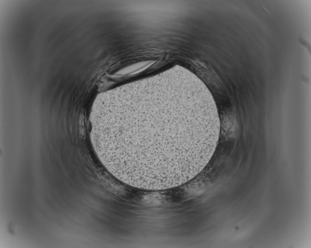 X0000096480470200802211218