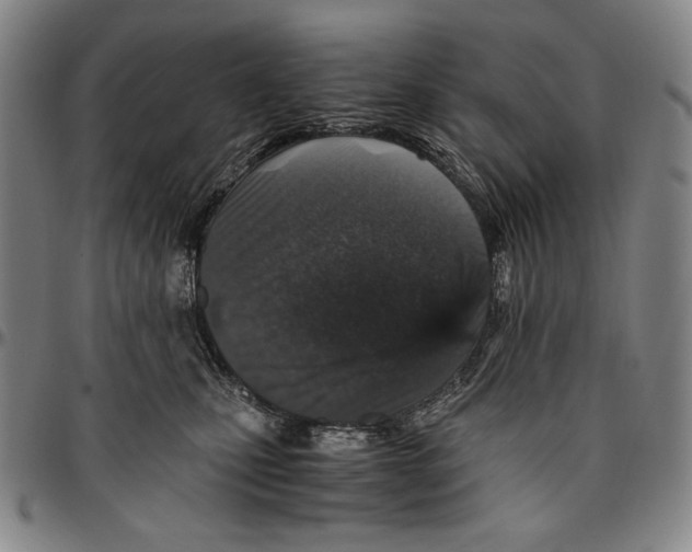 X0000096480471200802211218