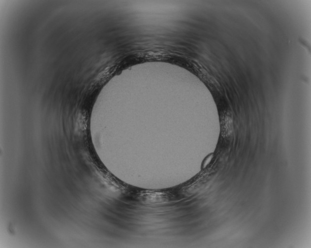 X0000096480472200802211218