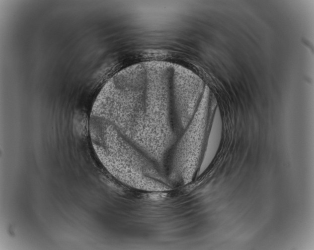 X0000096480474200802211218