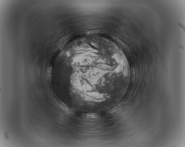X0000096480475200802211218