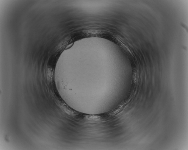 X0000096480476200802211218