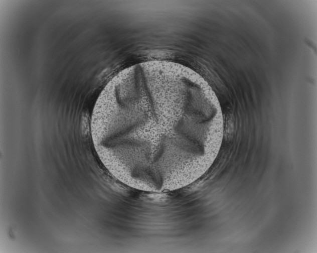 X0000096480478200802211218
