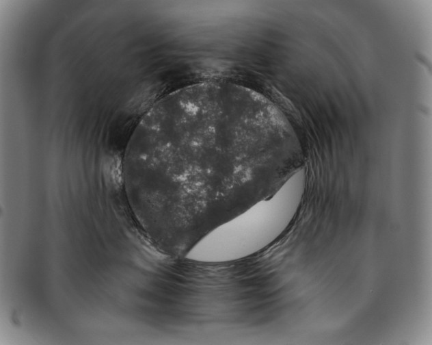 X0000096480479200802211218