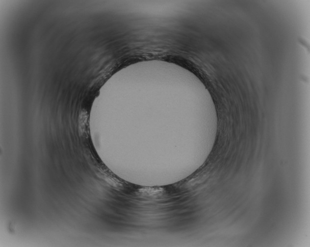 X0000096480480200802211218