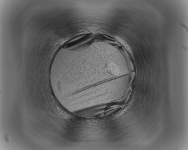 X0000096480481200802211218