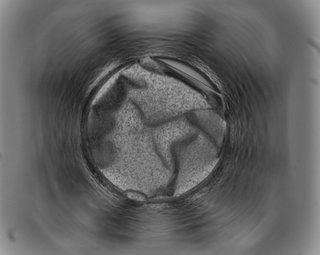 X0000096480482200802211218