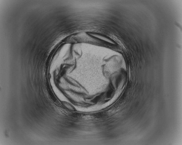 X0000096480483200802211218