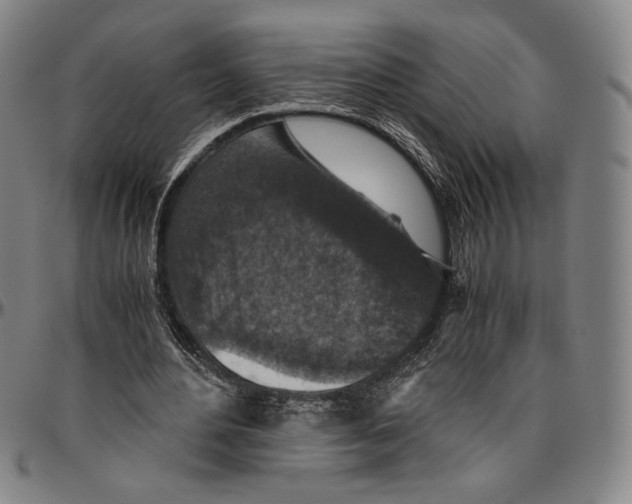 X0000096480484200802211218