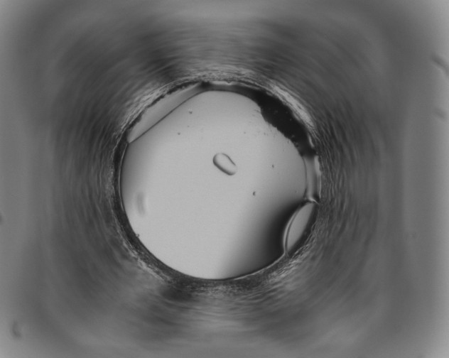 X0000096480485200802211218