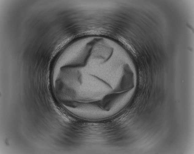 X0000096480486200802211218