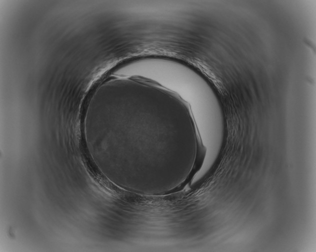 X0000096480488200802211218