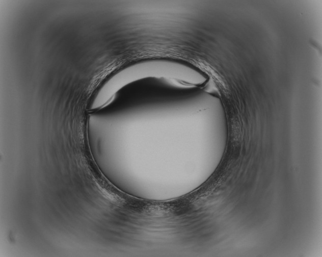 X0000096480489200802211218