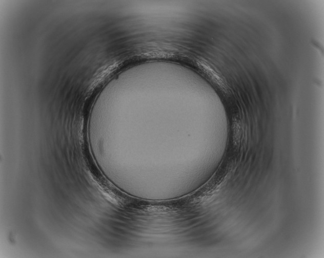 X0000096480490200802211218