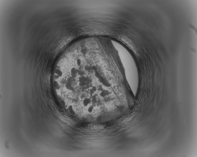 X0000096480491200802211217