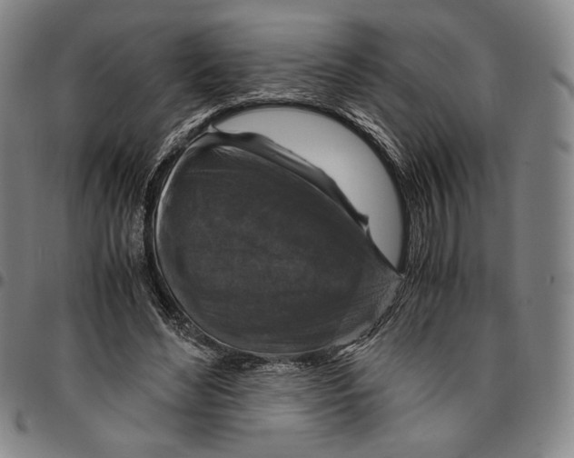 X0000096480492200802211217