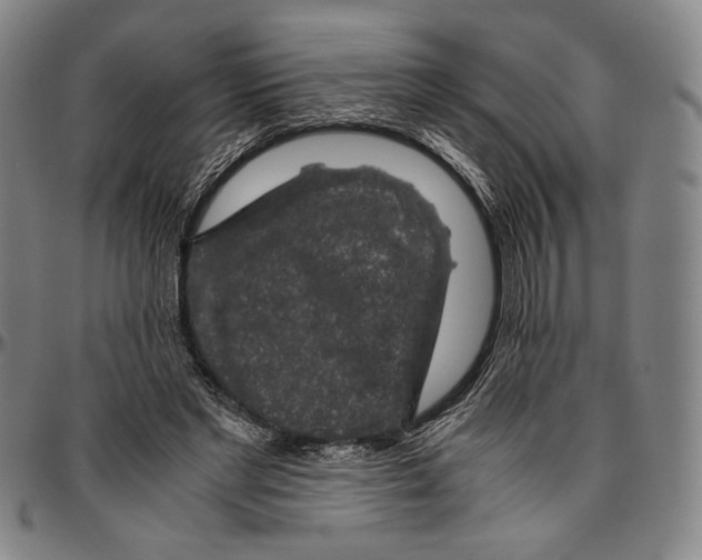 X0000096480493200802211217