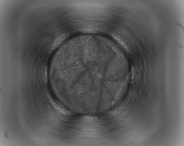X0000096480494200802211217