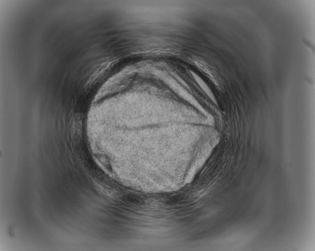 X0000096480495200802211217