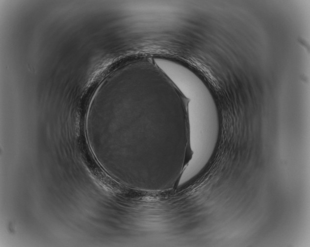 X0000096480496200802211217