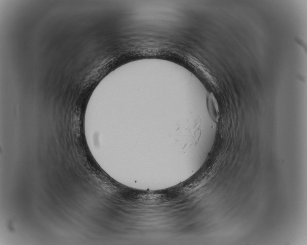 X0000096480497200802211217