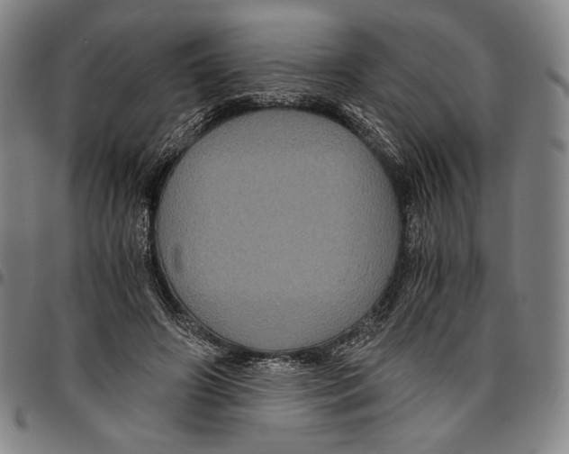 X0000096480498200802211217