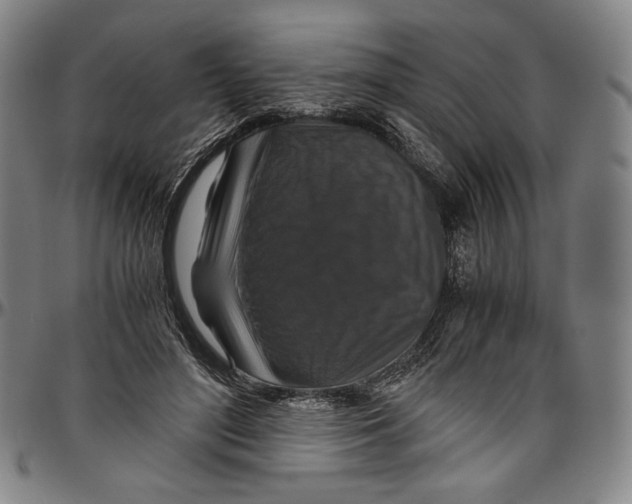 X0000096480500200802211217