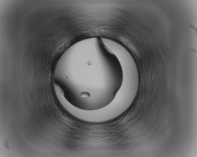 X0000096480501200802211217