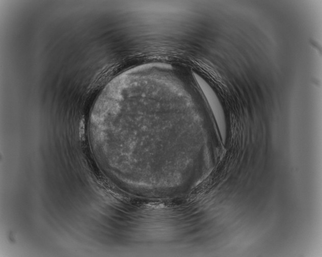 X0000096480502200802211217