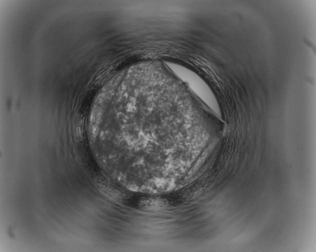 X0000096480503200802211217