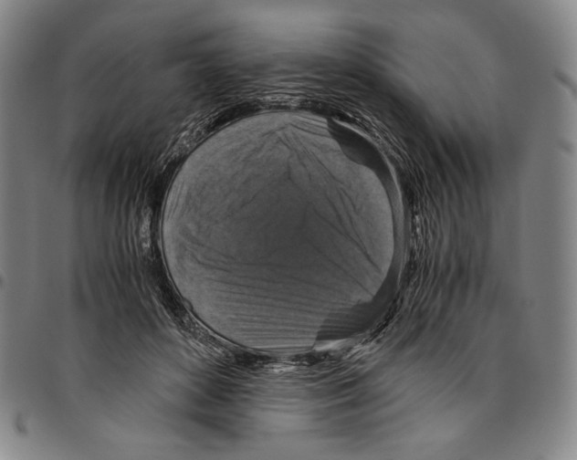 X0000096480504200802211217