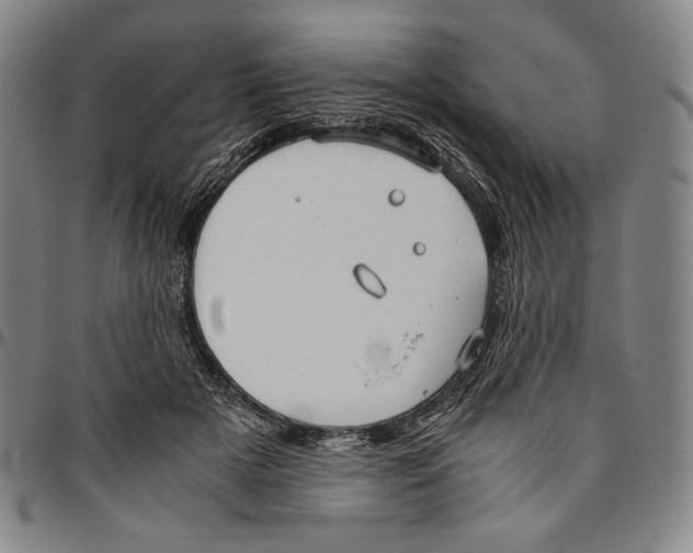 X0000096480505200802211217